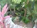 DSC03806